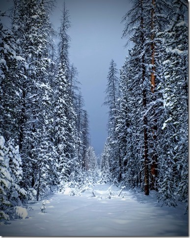 Rocky Mtn Natl Park - Bob Fergeson