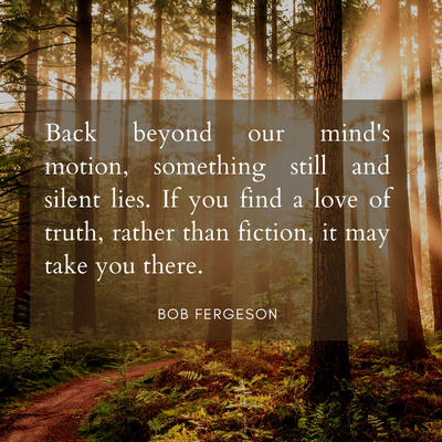 Fergeson - behind the mind