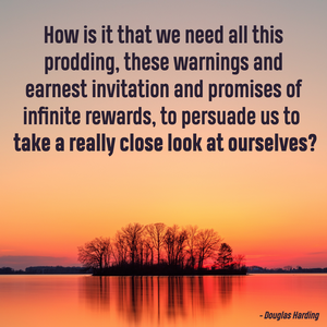Douglas Harding on taking a close look at ourselves