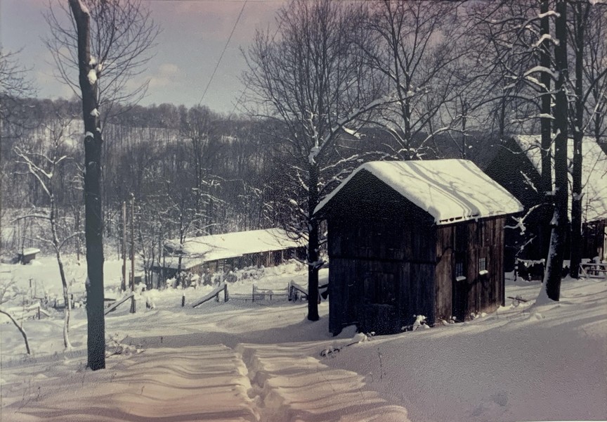 Richard Rose farm&mdash;winter 1994