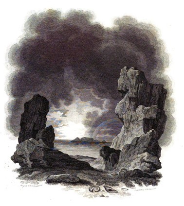 organic remains of a former world