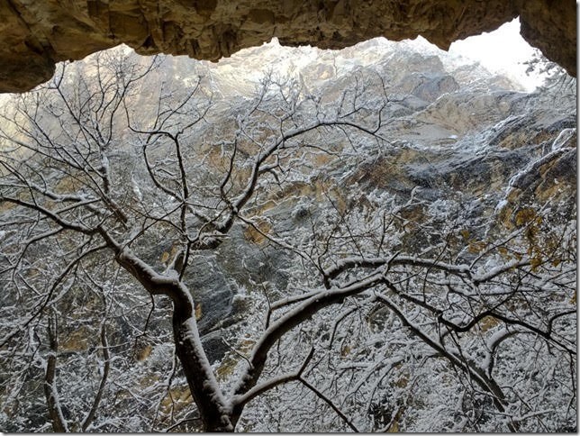 April in Hog Canyon, photo by Bob Fergeson