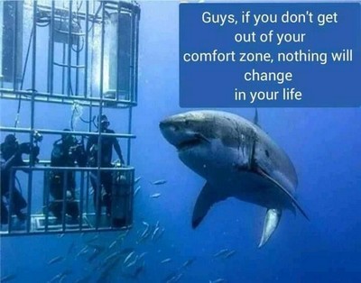 shark cage