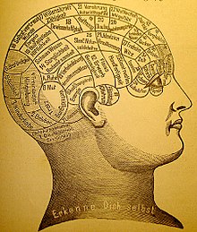 phrenology