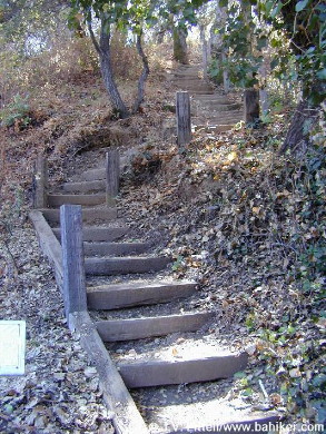 Steps