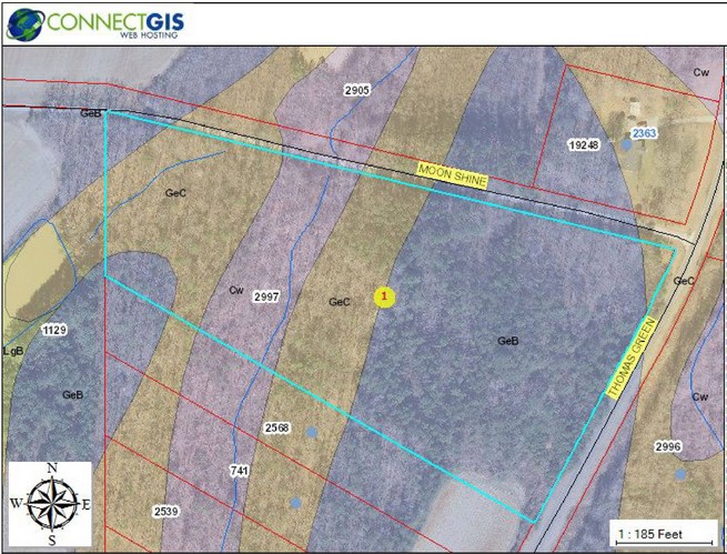 TGR site 2997 soil map