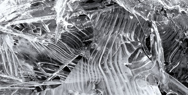 ICE RIBS by Phaedra Greenwood