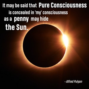 Alfred Pulyan - penny blocking the sun