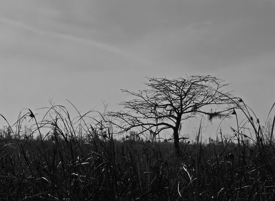 Small Cyprus, Mire Canal