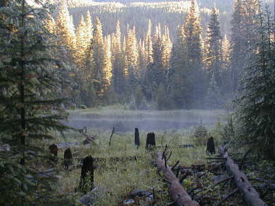Misty morning on Never Summer Mountain. Photo: Bob Fergeson