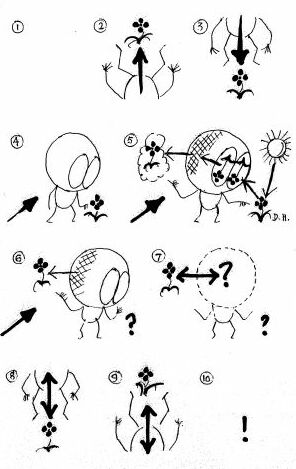 Douglas Harding: path in pictures