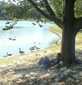 Photo by Joshua George www.cs.virginia.edu/~jg9h/