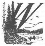 illustrated letter W