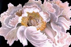 White Swan by Luba Sterlikova