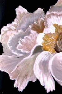 White Swan by Luba Sterlikova