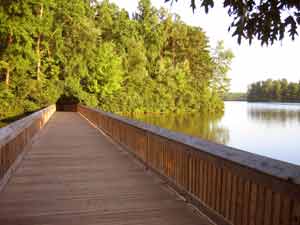 Wooden bridge over lake. Photo by the author.