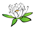 lily icon
