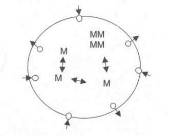 individual mind field