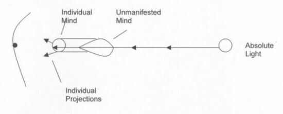 Projection from the Light of the Absolute