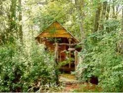 cabin in the woods