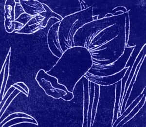 narcissus as symbol of self-awareness