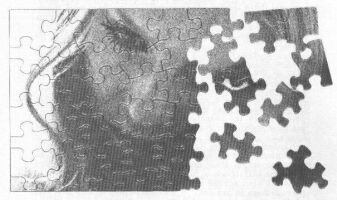 her face came apart like a jigsaw puzzle