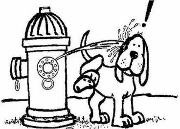 dog and malfunctioning fire hydrant